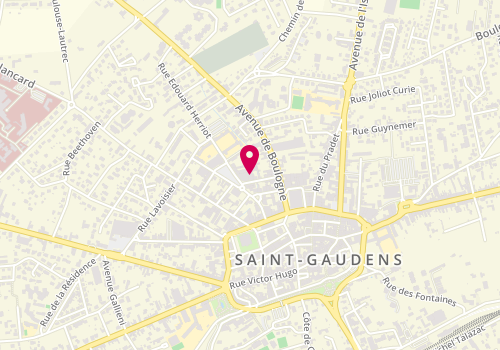 Plan de Saint Gaudinoise Peinture, 3 Rue Louis Payrau, 31800 Saint-Gaudens