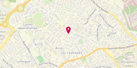 Plan de Solutions Plaquiste 34, 949 avenue Professeur Louis Ravas, 34080 Montpellier