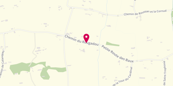 Plan de Murinsitu, 2557 Route du Rougadou, 13210 Saint-Rémy-de-Provence