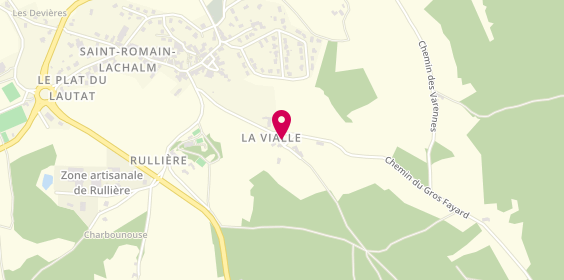 Plan de Vacher-riocreux, Vialle, 43620 Saint-Romain-Lachalm