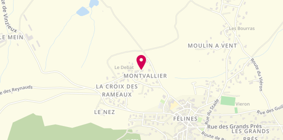 Plan de PLEINET Didier, 215 Montvallier, 07340 Félines