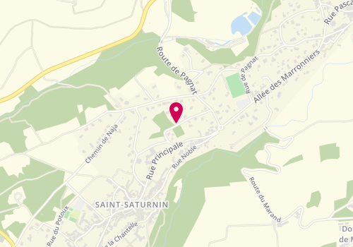 Plan de SARL Naudon, 2 Chemin Bernardy, 63450 Saint-Saturnin