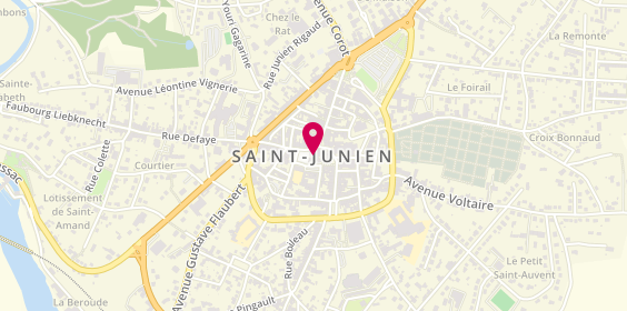 Plan de RAINHO Daniel, 10 Rue du Docteur Roux Prolongee, 87200 Saint-Junien