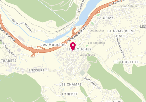 Plan de PARILLAUD François, 228 Rue Mont Blanc, 74310 Les Houches