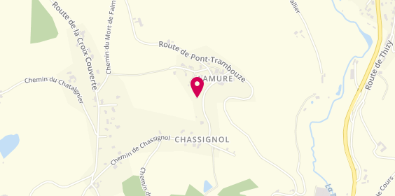 Plan de CHERPIN Laurent, 228 Chemin Chassignol, 42460 Sevelinges