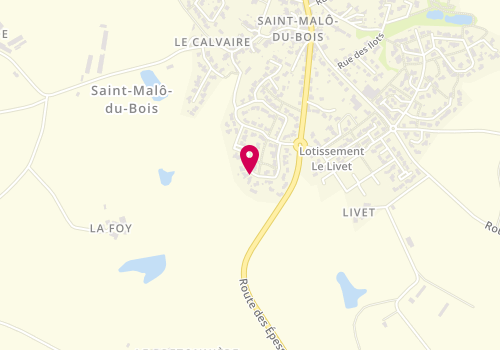 Plan de Satine, 24 Rue des Néfliers, 85590 Saint-Malô-du-Bois
