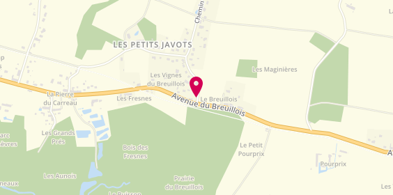 Plan de Souchon Joel, 1 Chemin Godards, 45220 Saint-Germain-des-Prés