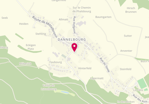 Plan de SPITZ Yvon, 5 Route de Lutzelbourg, 57820 Dannelbourg