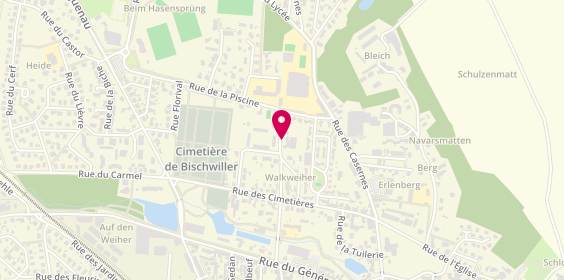 Plan de Schmitter, 6 Rue Violettes, 67240 Bischwiller