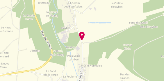 Plan de COUSIN Daniel, 18 Route Givonne, 08140 Daigny